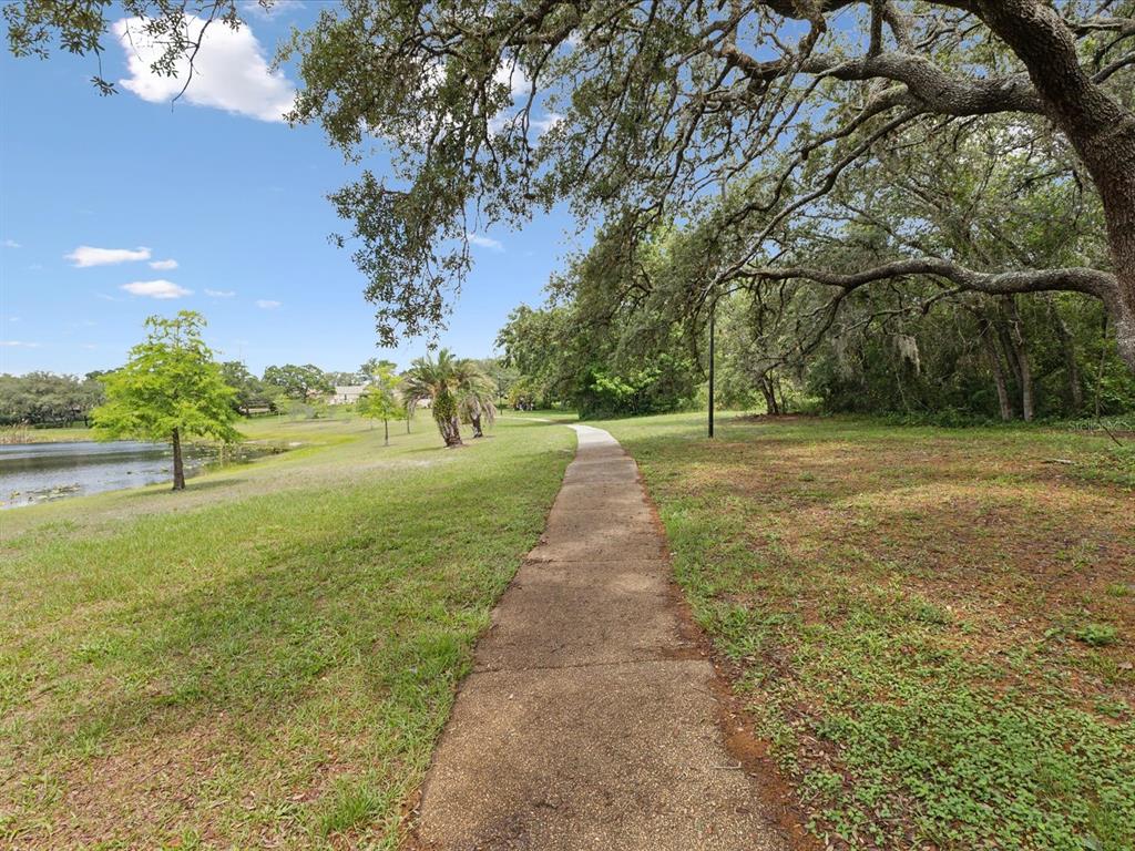 8393 Delaware Drive Weeki Wachee, FL 34607 - Photo 64 of 65