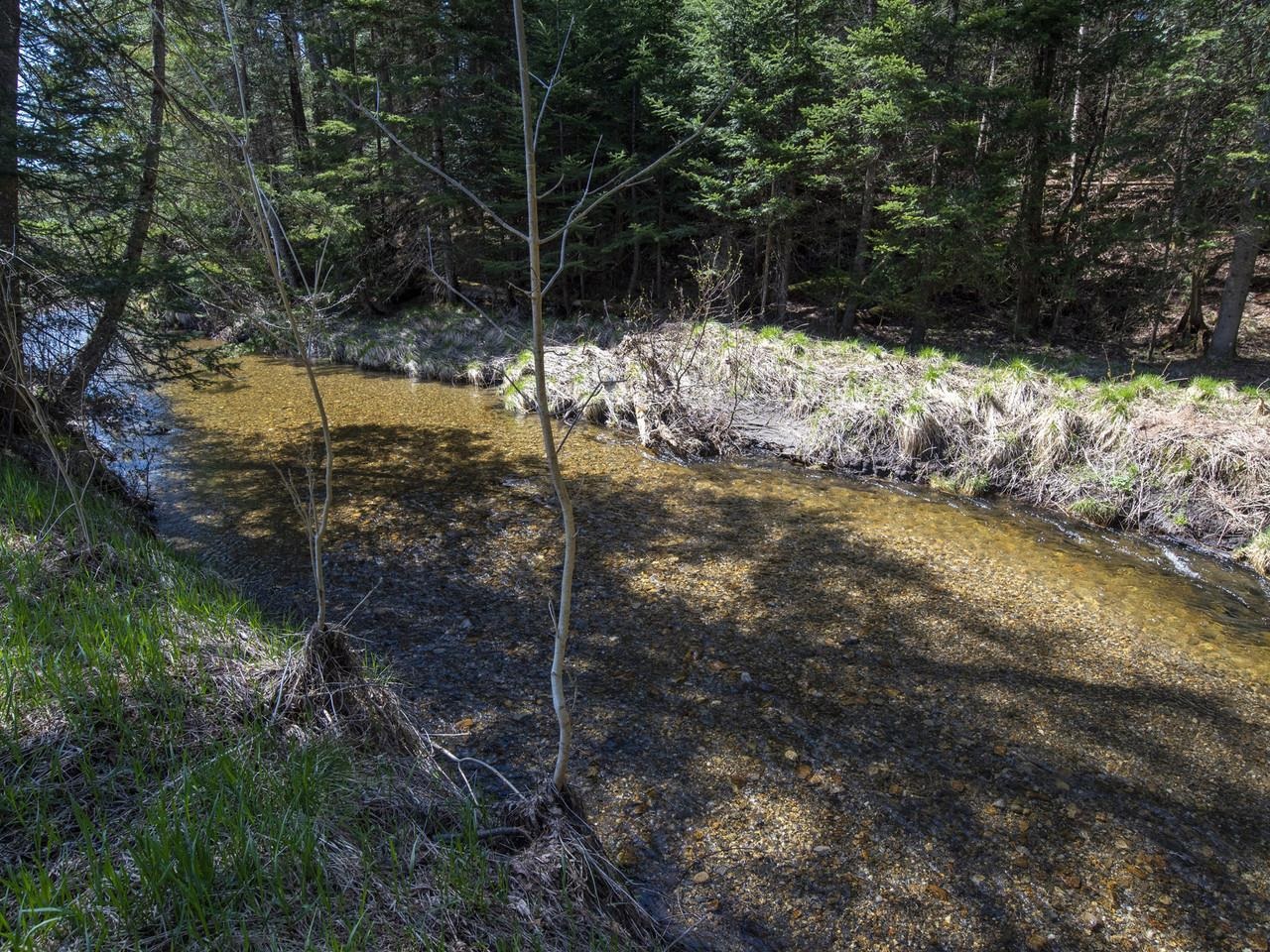 4614 Brook Road Plainfield, VT 05641 - Photo 48 of 59