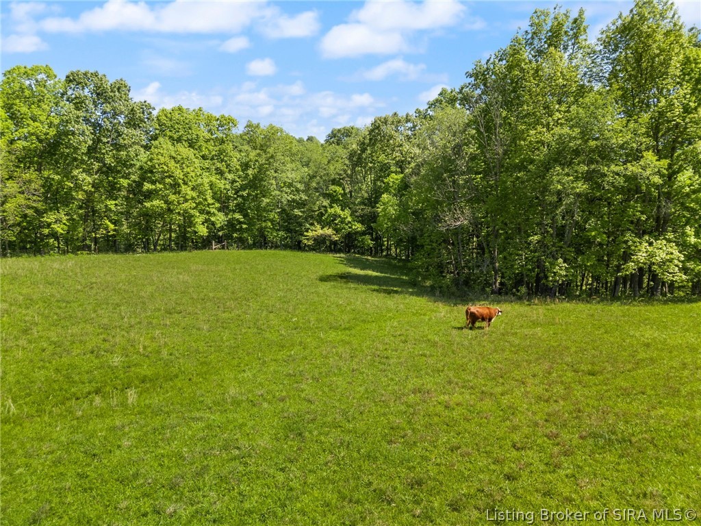 2394 West Old Felker Road English, IN 47118 - Photo 27 of 65
