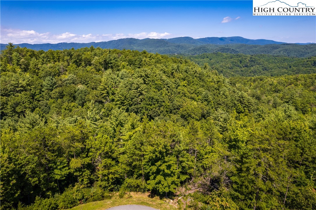 183 Marigold Road Boone, NC 28607 - Photo 10 of 50
