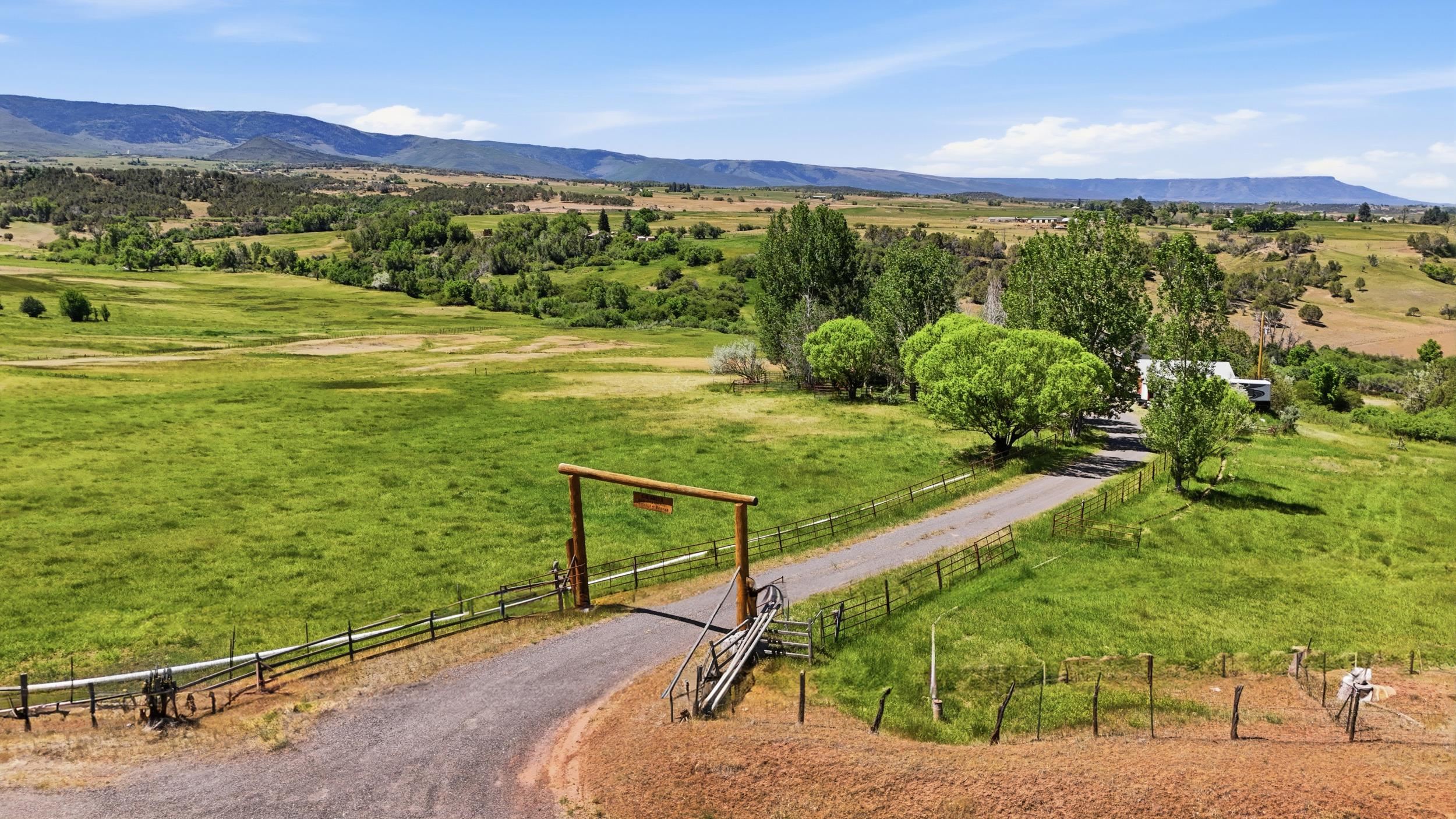 15377-59 59 1/2 Road Collbran, CO 81624 - Photo 42 of 42