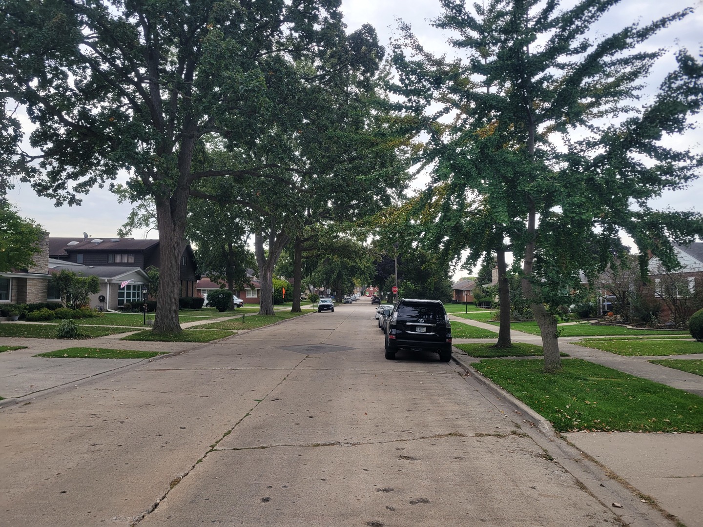 8918 Parkside Avenue Morton Grove, IL 60053 - Photo 4 of 36 a view of a park with bench and trees