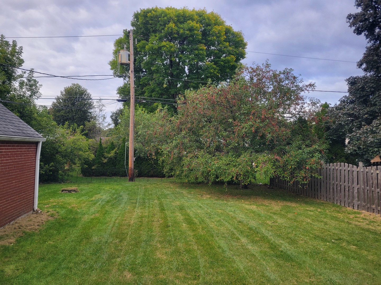 8918 Parkside Avenue Morton Grove, IL 60053 - Photo 7 of 36 a view of a back yard