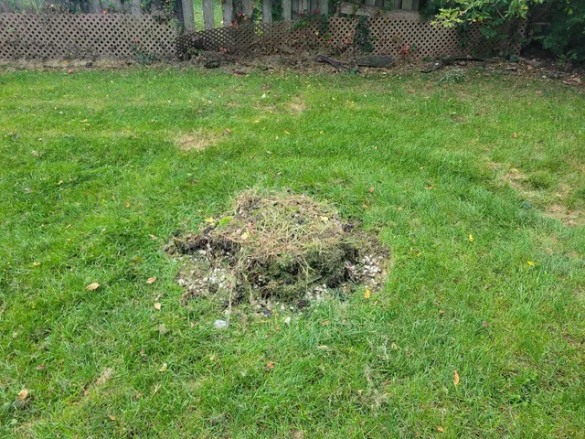 $204,000 | 8918 Parkside Avenue, Morton Grove, IL 60053