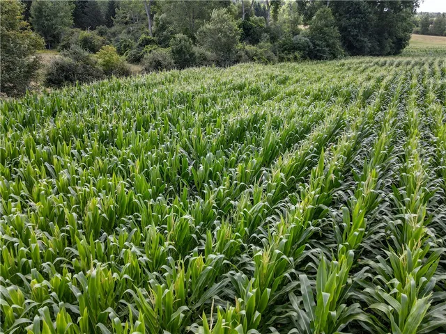 $498,000 | 281 County Route 32, Arkport, NY 14807