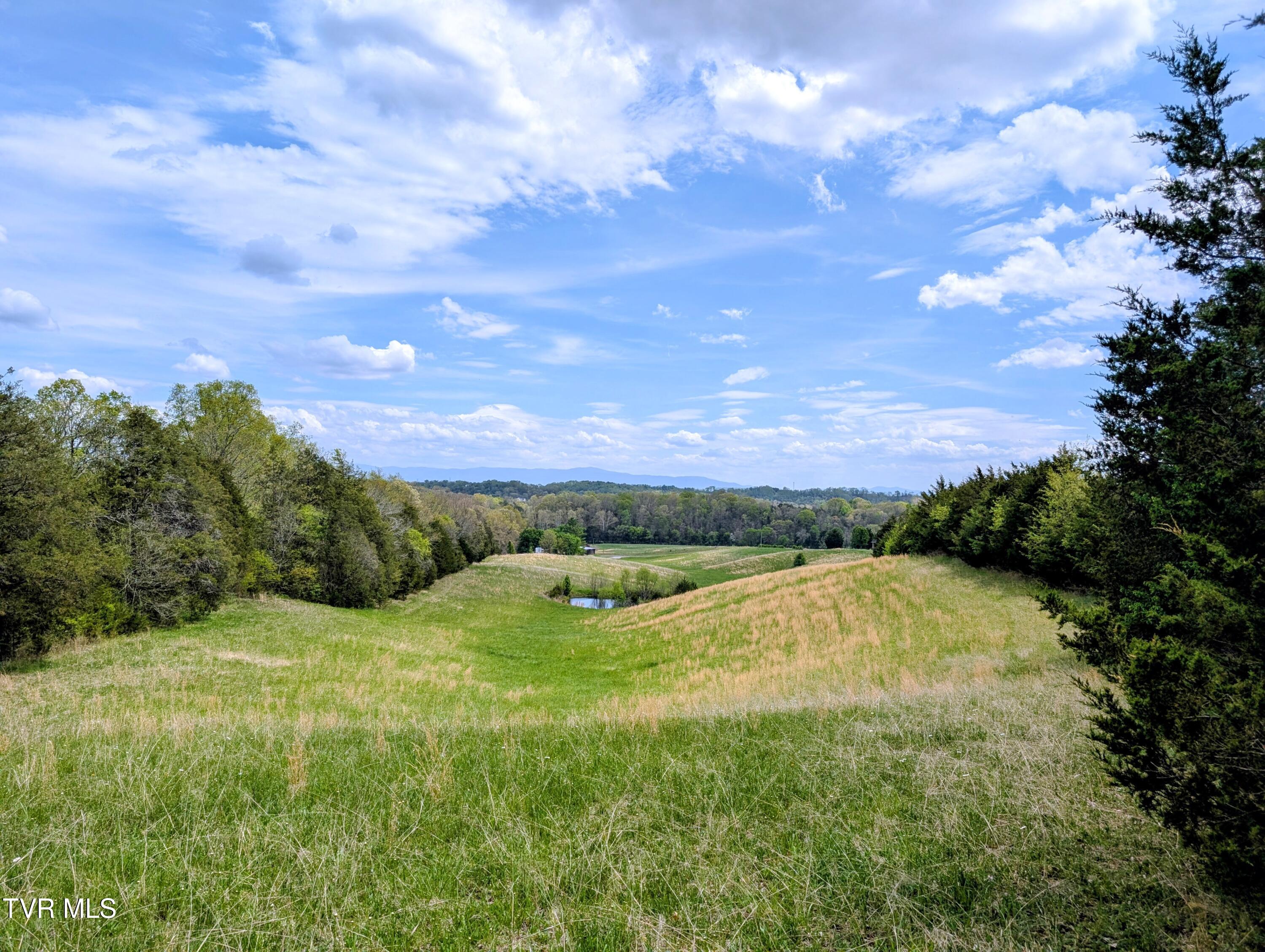 750 Red Gate Road Greeneville, TN 37743 - Photo 40 of 40 PXL_20260414_182742014~2