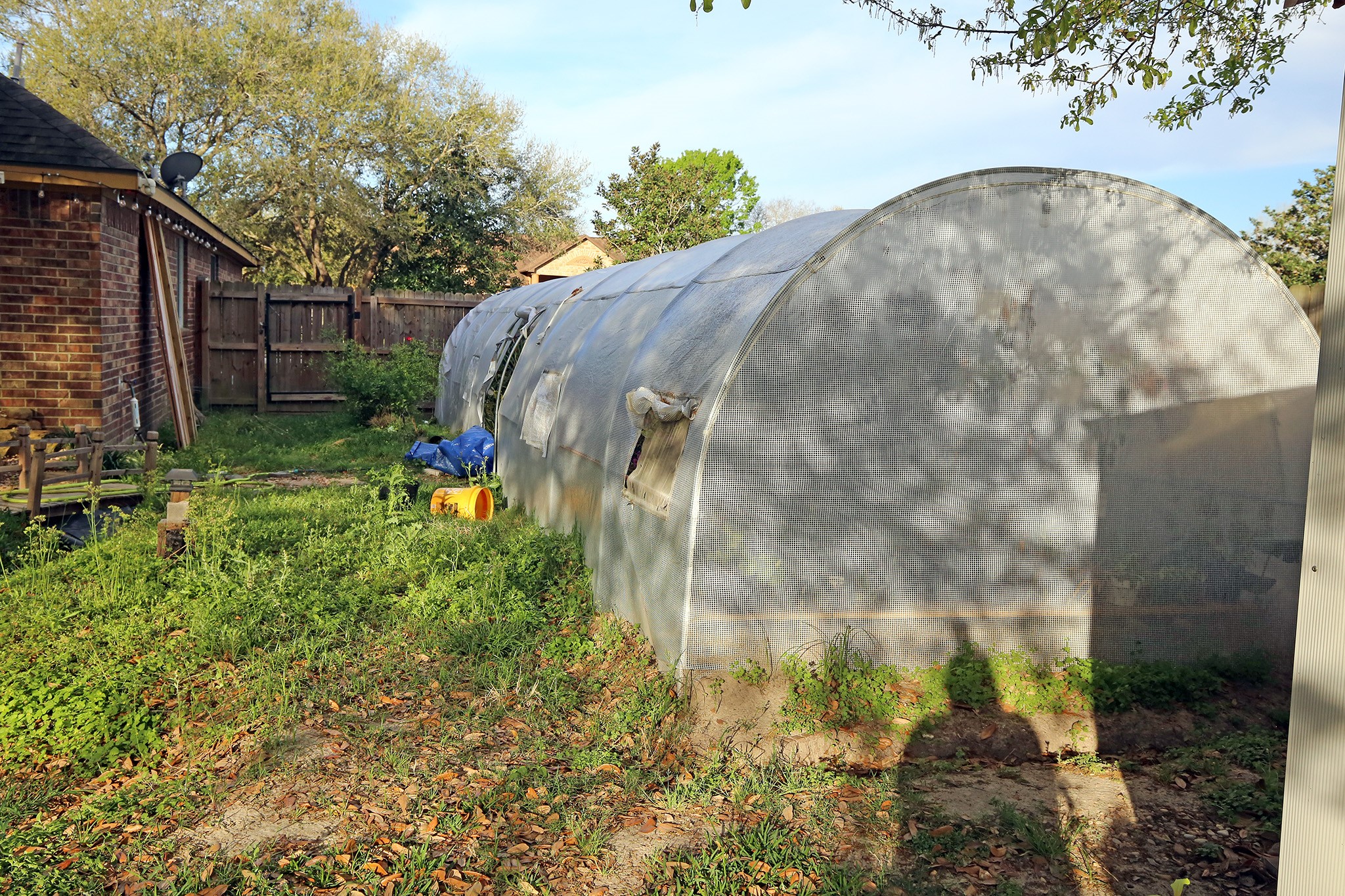 907 Riverside Drive Alvin, TX 77511 - Photo 28 of 31 Who loves plants?? Where here is Greenhouse to protect your plants from the weather!