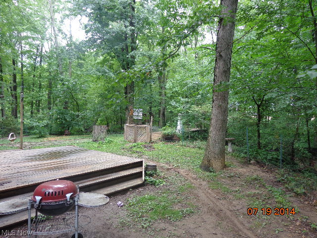 43122 Webster Road Wellington, OH 44090 - Photo 15 of 23 Gallery Image 15