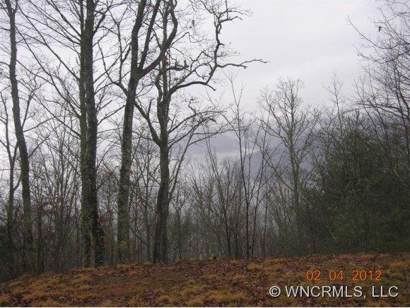 17 Windingstairs Rd-mystic Ridge Topton, NC 28781 - Photo 1 of 1 a view of a yard with lots of green space