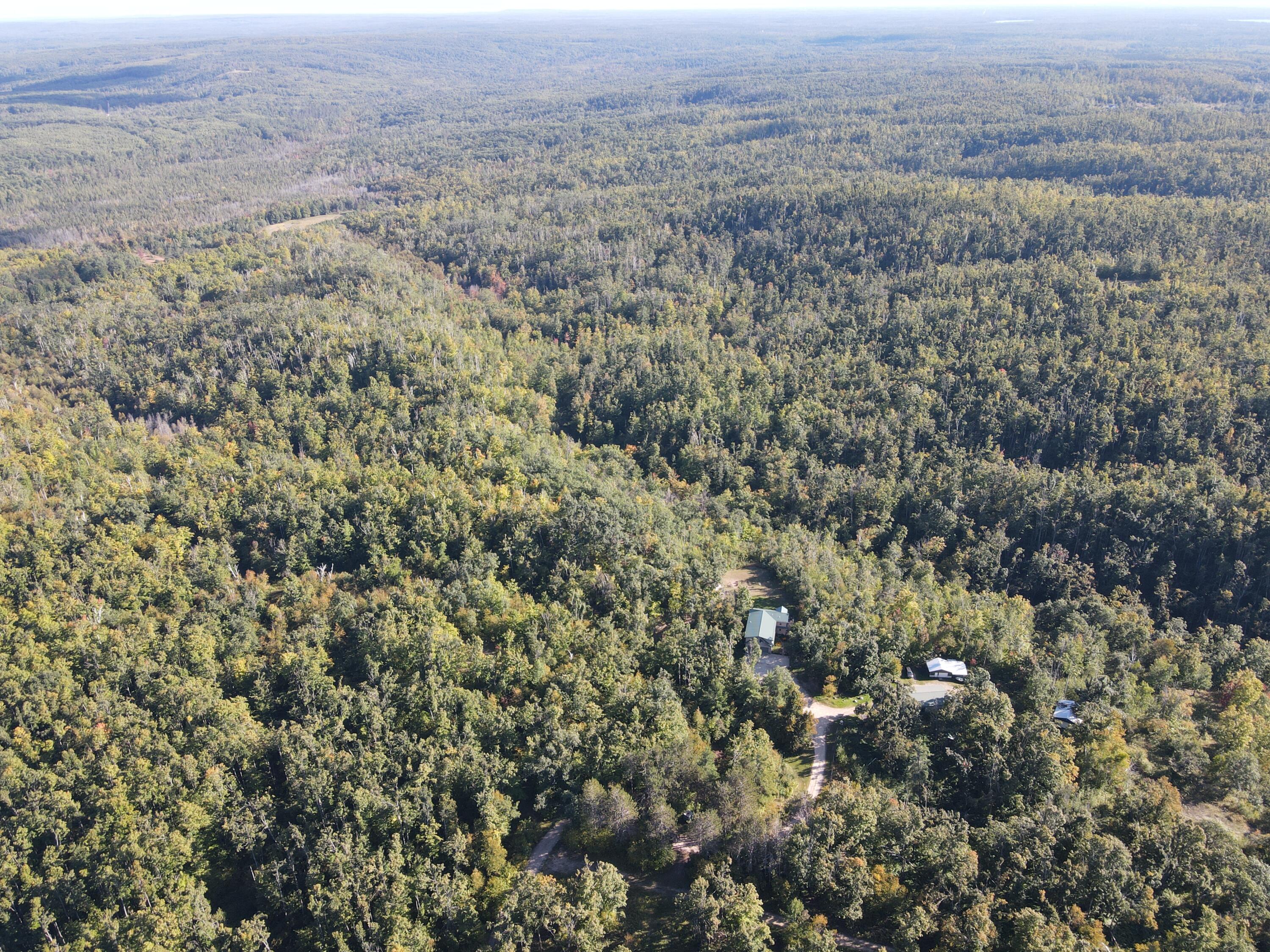 5917 Gamble Road Atlanta, MI 49709 - Photo 86 of 98 DJI_0740
