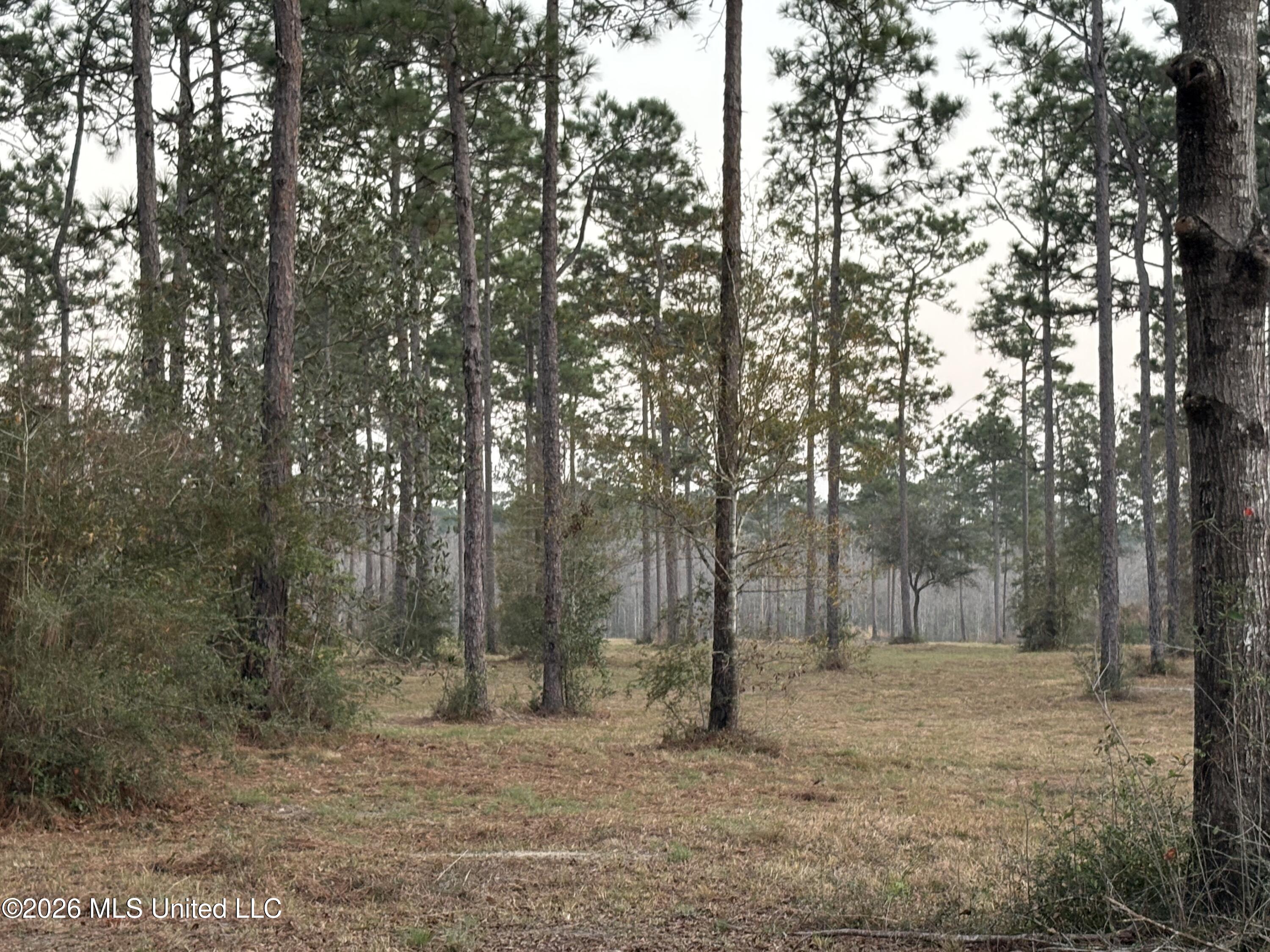 Greenfields Road Moss Point, MS 39562 - Photo 2 of 10 1