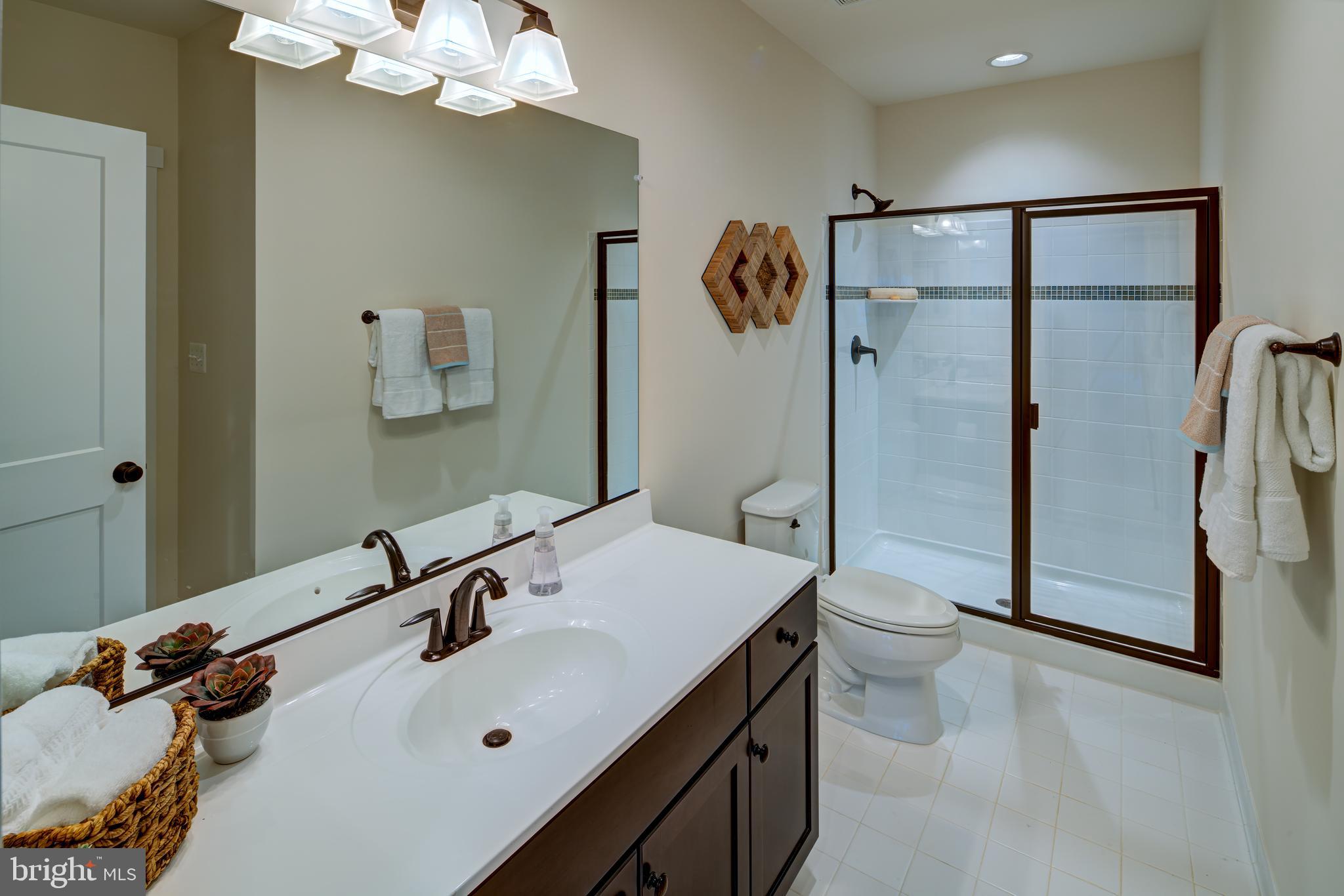 3283 Fox Mill Road, Unit 23B Oakton, VA 22124 - Photo 19 of 21 Basement Full Bath(previous model)