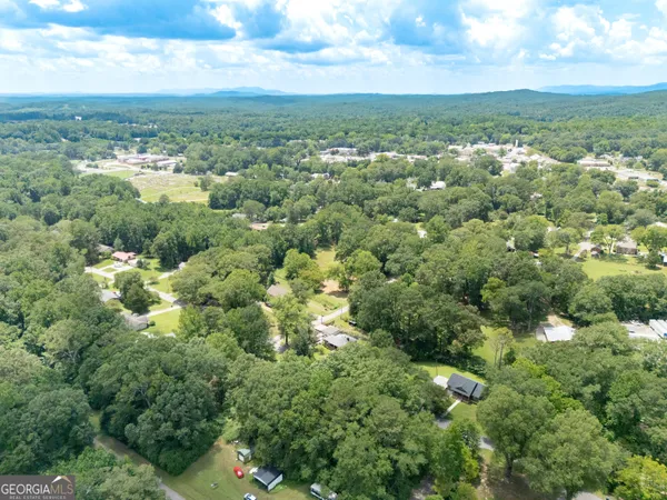 a view of a city with lush green forest
