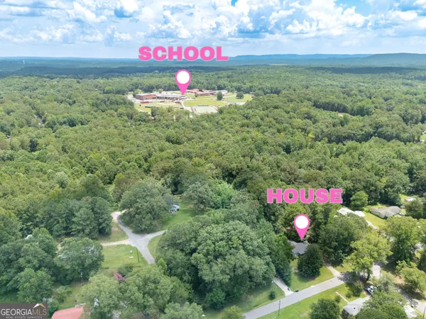 a view of a flower in a field