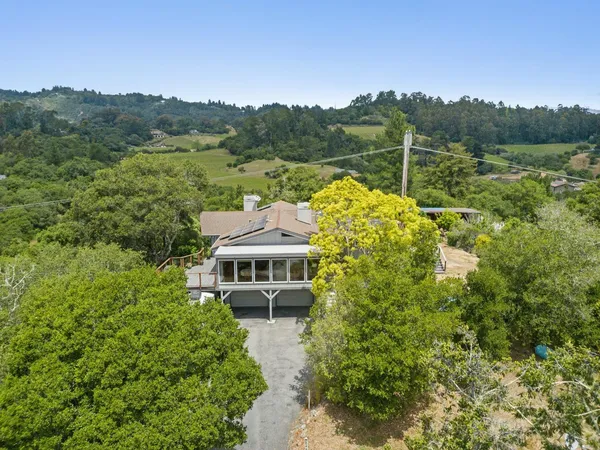 a view of a garden with mountain
