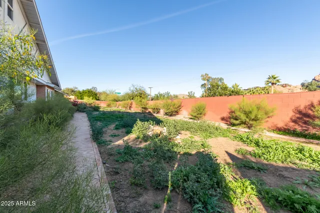 a street view with potted plants