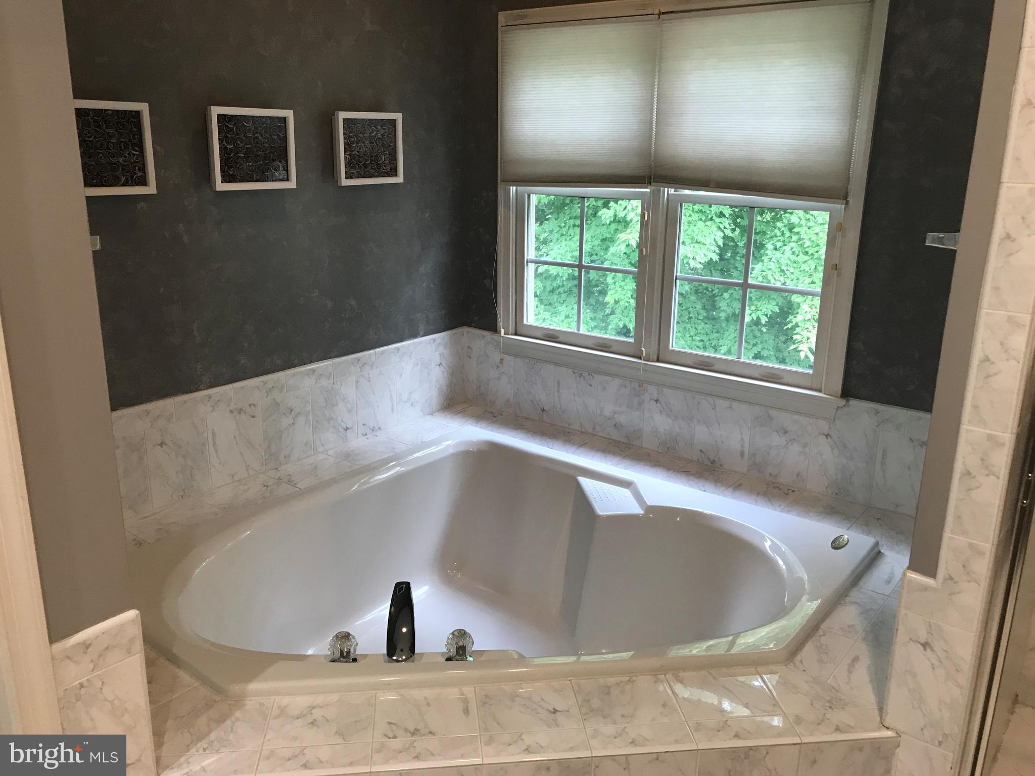 6029 Sumner Road Alexandria, VA 22310 - Photo 21 of 30 2 Person Soaking Tub