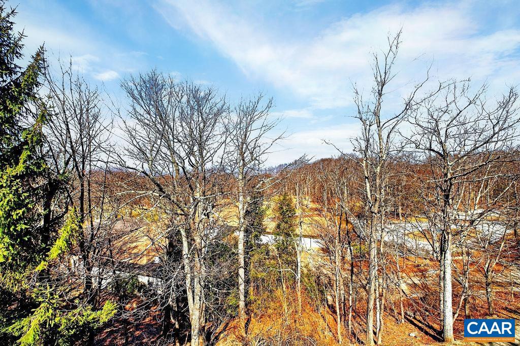 2084 Stone Ridge Wintergreen, VA 22967 - Photo 4 of 41