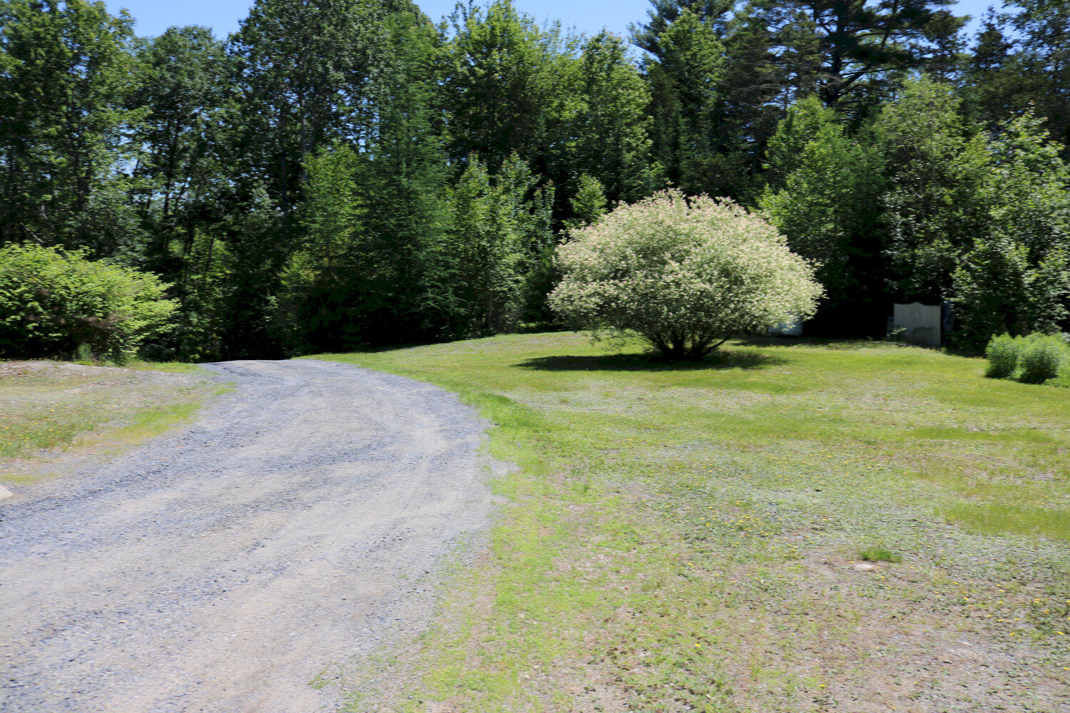 1066 Embden Pond Road Embden, ME 04958 - Photo 14 of 42 IMG_9884_result