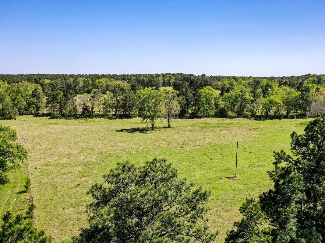 0 Black Jack Cemetery Road Huntsville, TX 77340 - Photo 1 of 11 a view of yard with swimming pool and green space