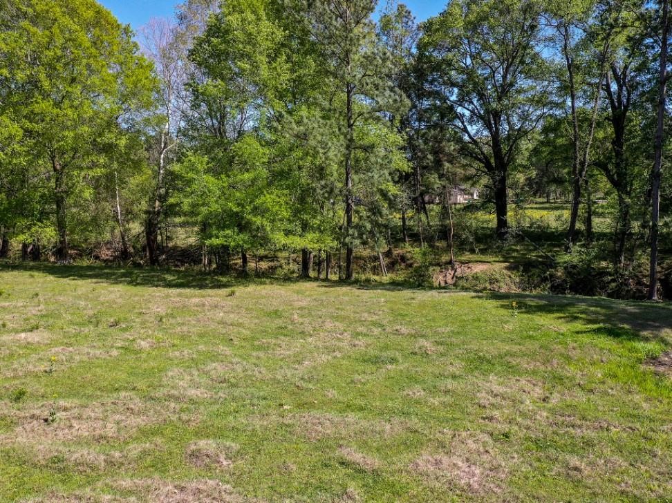 0 Black Jack Cemetery Road Huntsville, TX 77340 - Photo 11 of 11 a view of outdoor space with deck and yard