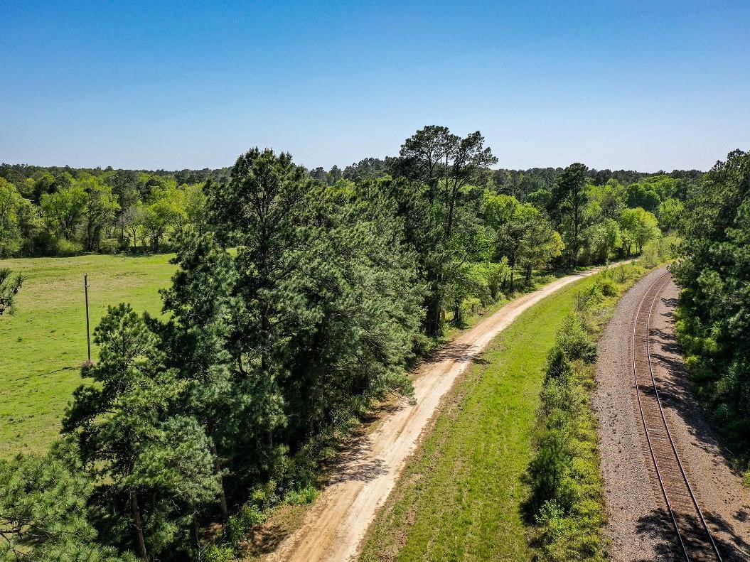 0 Black Jack Cemetery Road Huntsville, TX 77340 - Photo 5 of 11 a view of a lake with a garden