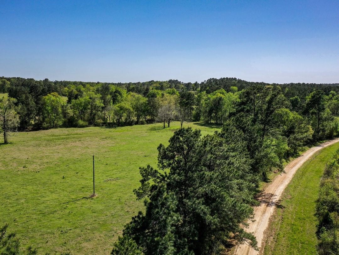 0 Black Jack Cemetery Road Huntsville, TX 77340 - Photo 6 of 11 a view of a field with an ocean