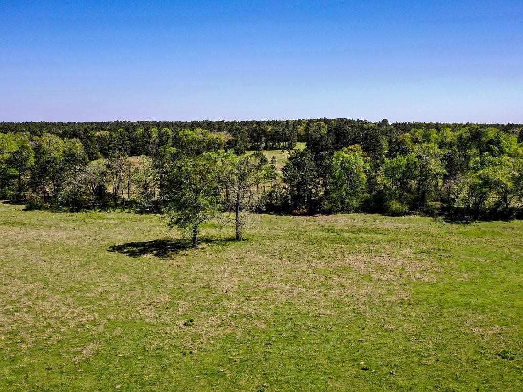 0 Black Jack Cemetery Road Huntsville, TX 77340 - Photo 7 of 11