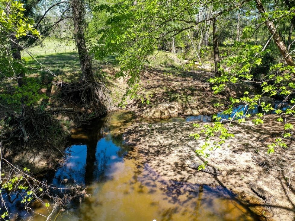 0 Black Jack Cemetery Road Huntsville, TX 77340 - Photo 9 of 11