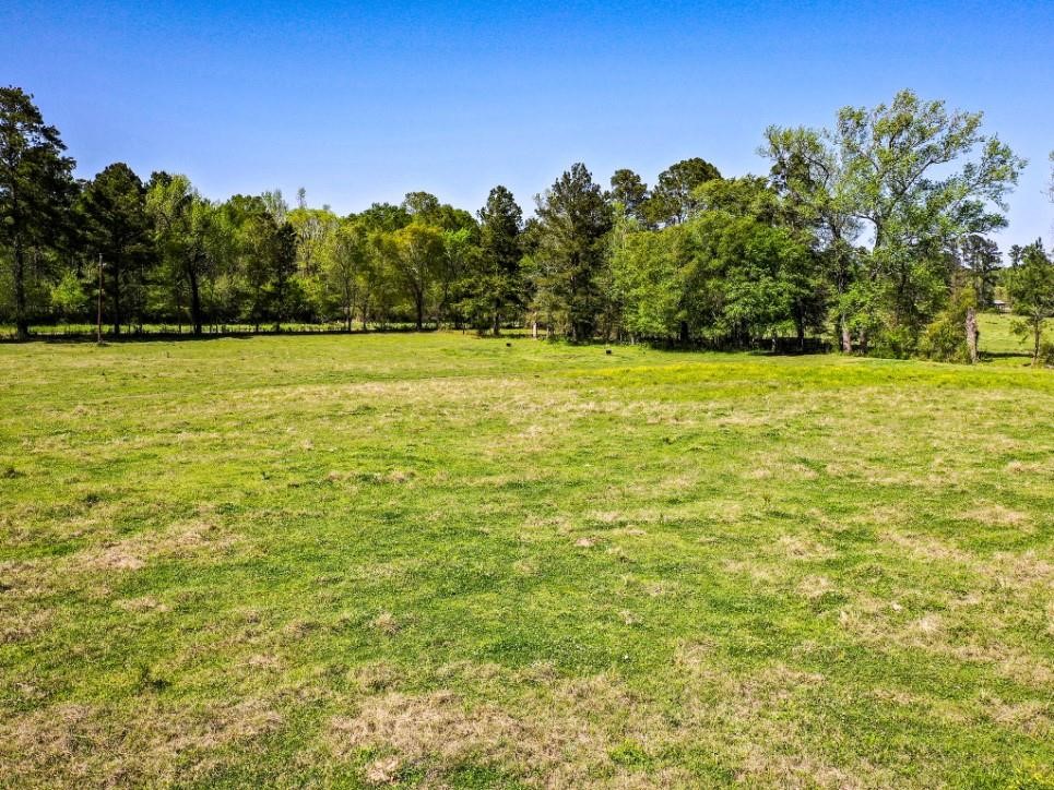 0 Black Jack Cemetery Road Huntsville, TX 77340 - Photo 10 of 11 a view of a yard