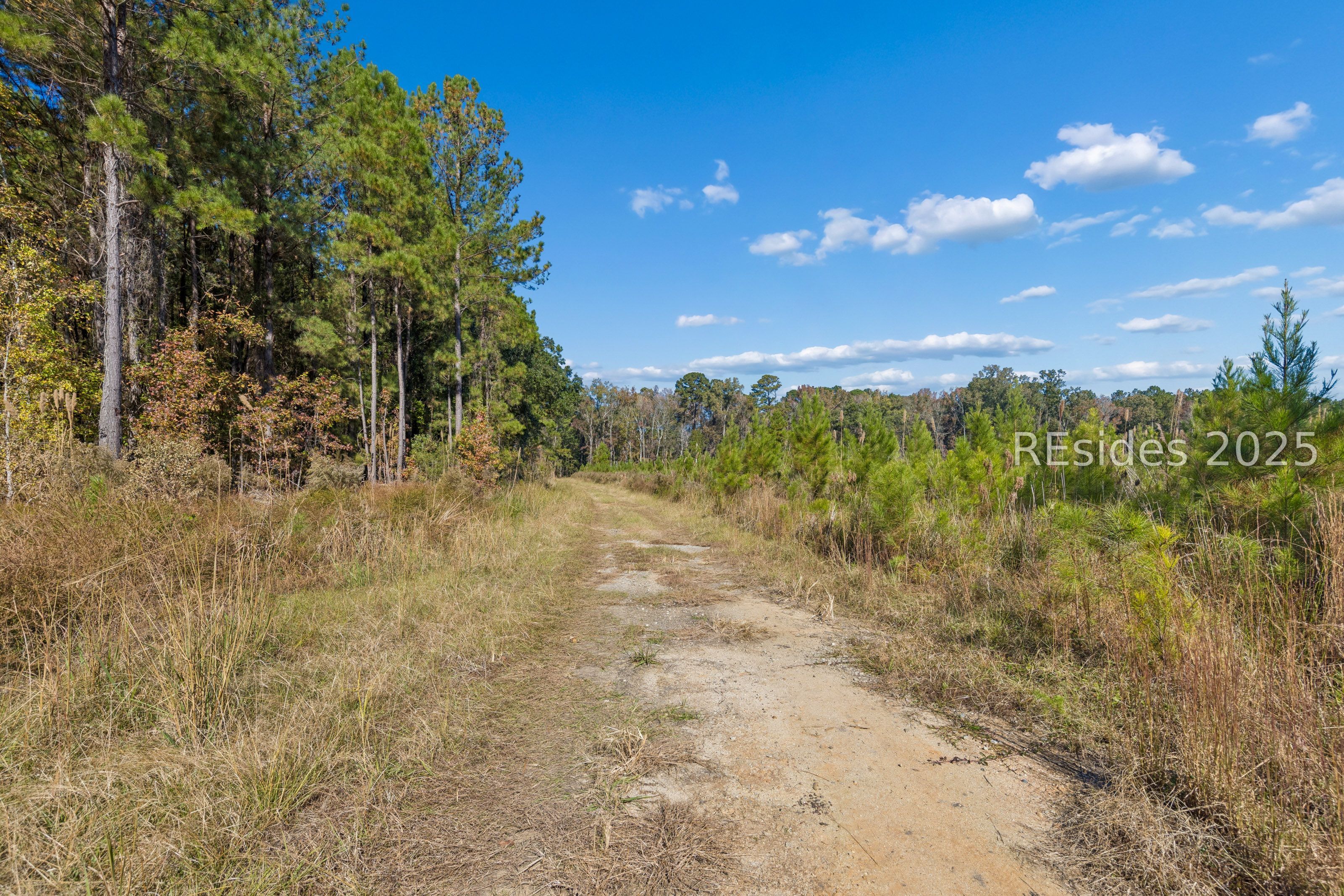 0 Morgandollar Road Ridgeland, SC 29936 - Photo 12 of 38