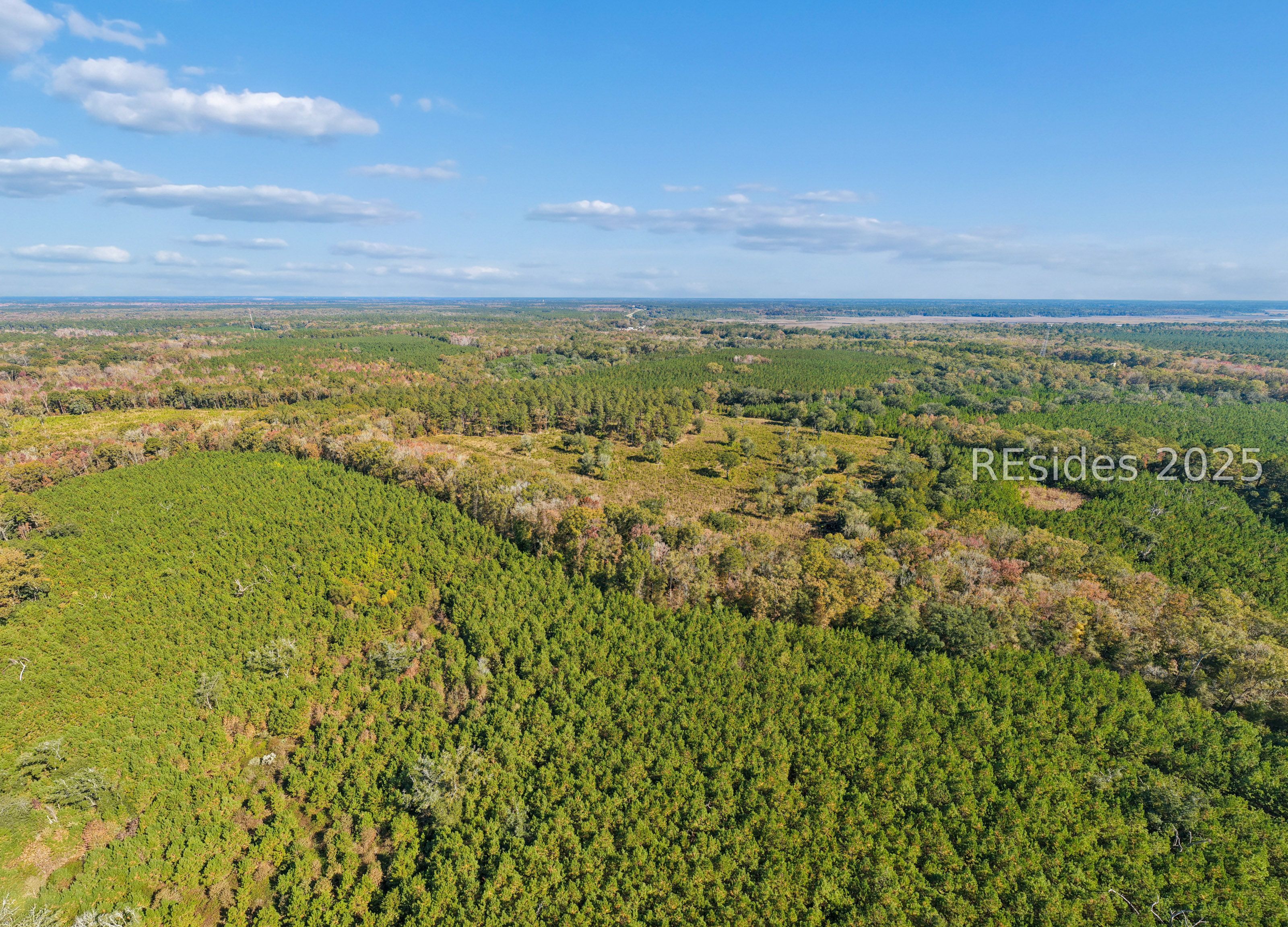 0 Morgandollar Road Ridgeland, SC 29936 - Photo 13 of 38