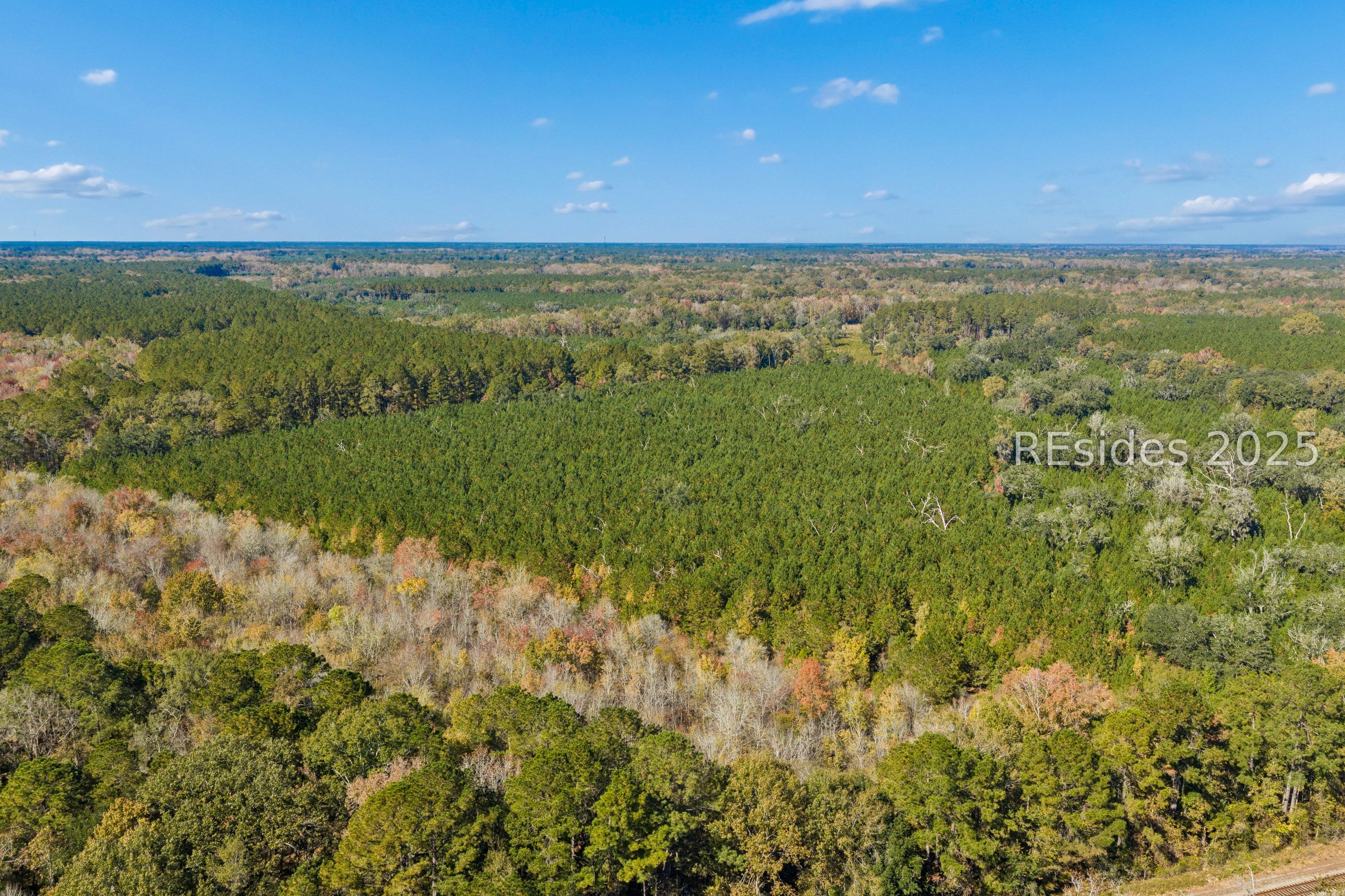 0 Morgandollar Road Ridgeland, SC 29936 - Photo 14 of 38