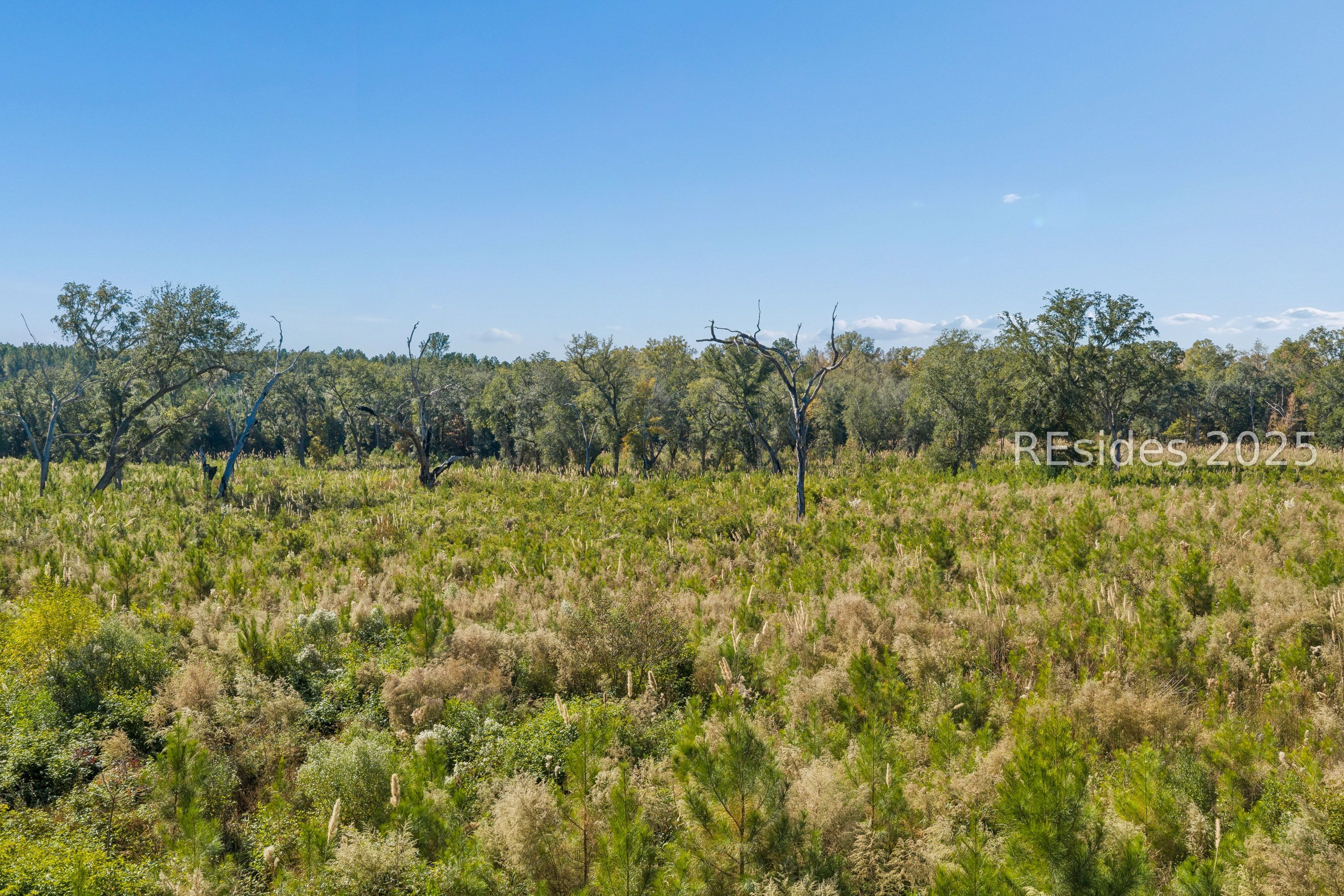 0 Morgandollar Road Ridgeland, SC 29936 - Photo 16 of 38