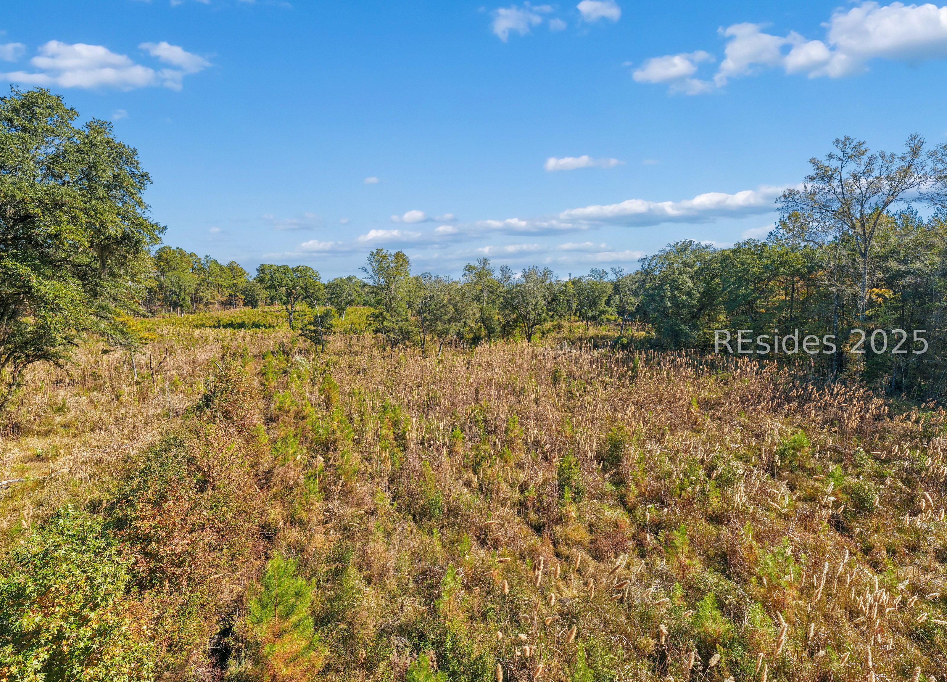 0 Morgandollar Road Ridgeland, SC 29936 - Photo 17 of 38