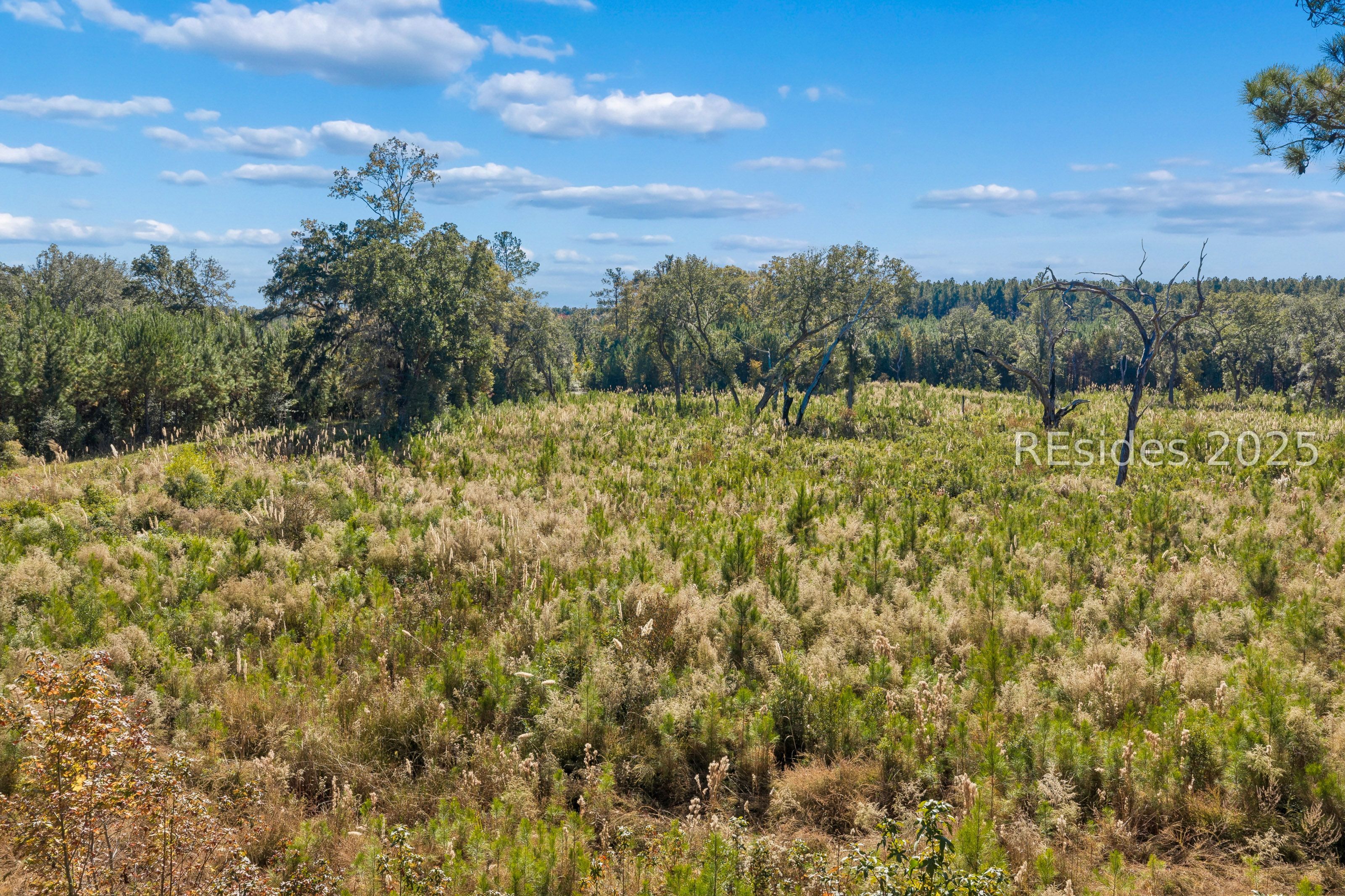 0 Morgandollar Road Ridgeland, SC 29936 - Photo 18 of 38