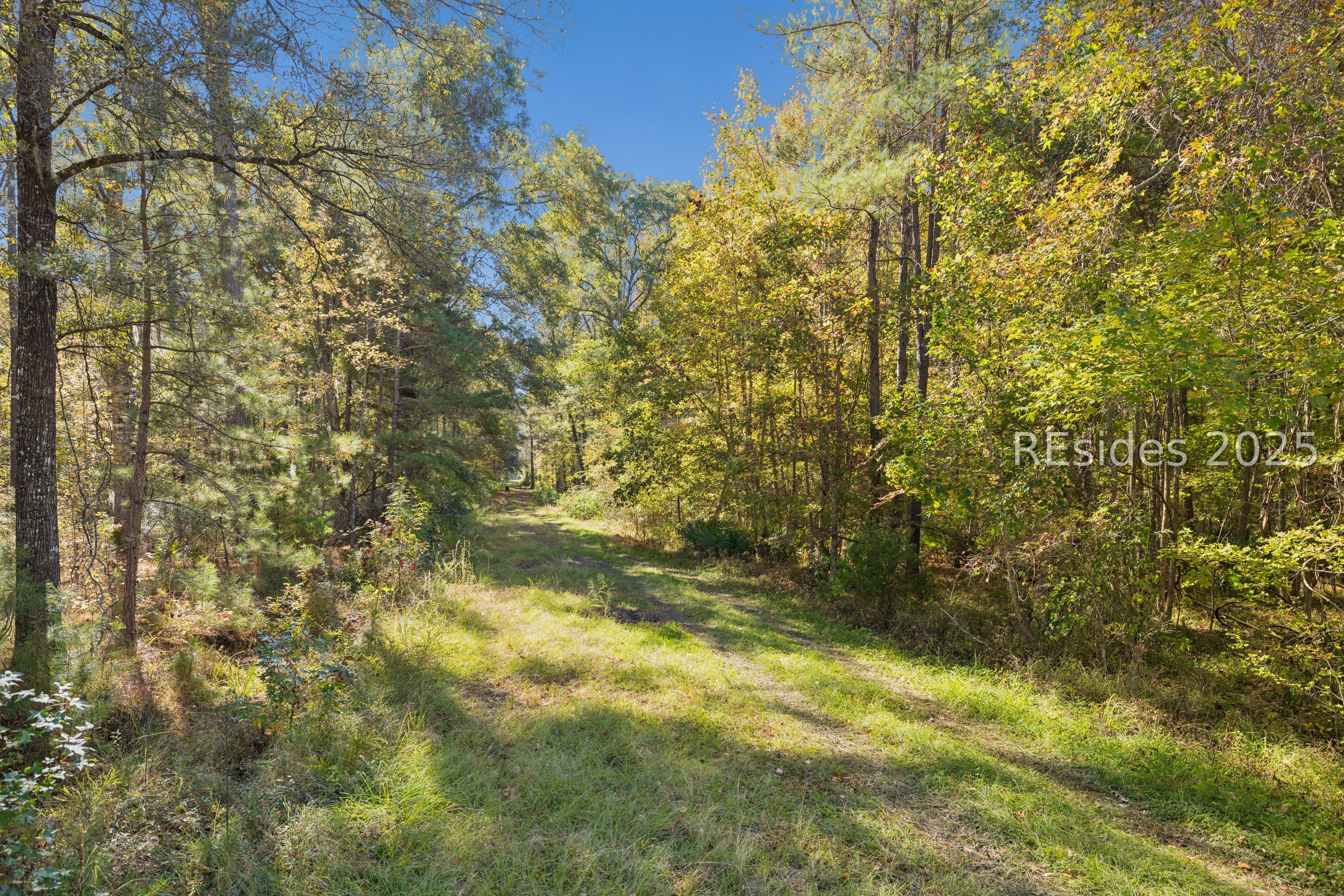 0 Morgandollar Road Ridgeland, SC 29936 - Photo 19 of 38