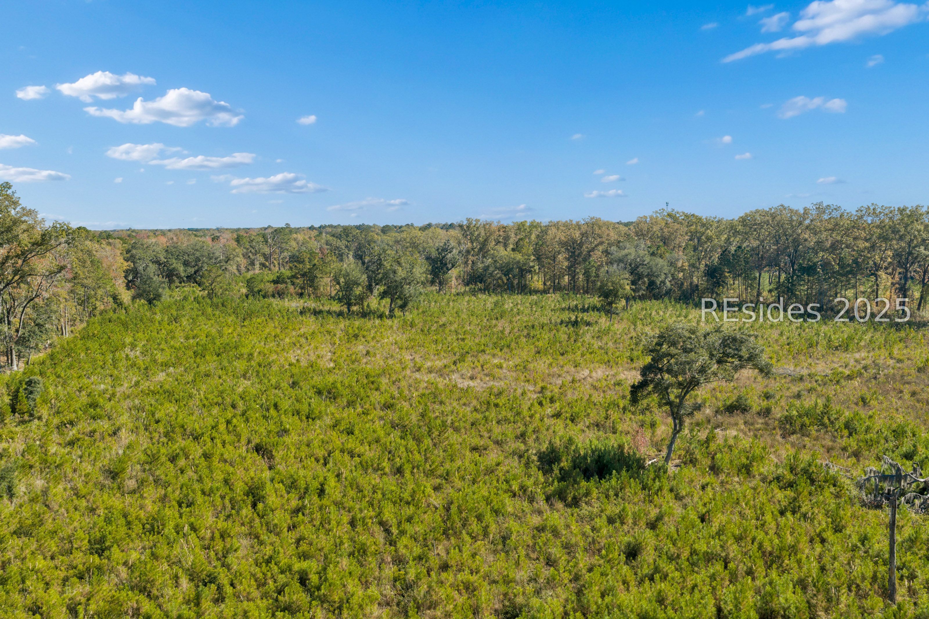 0 Morgandollar Road Ridgeland, SC 29936 - Photo 24 of 38