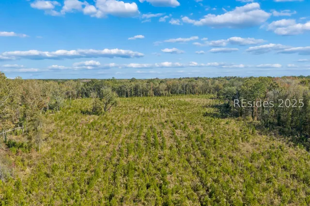 $5,168,000 | 0 Morgandollar Road, Ridgeland, SC 29936