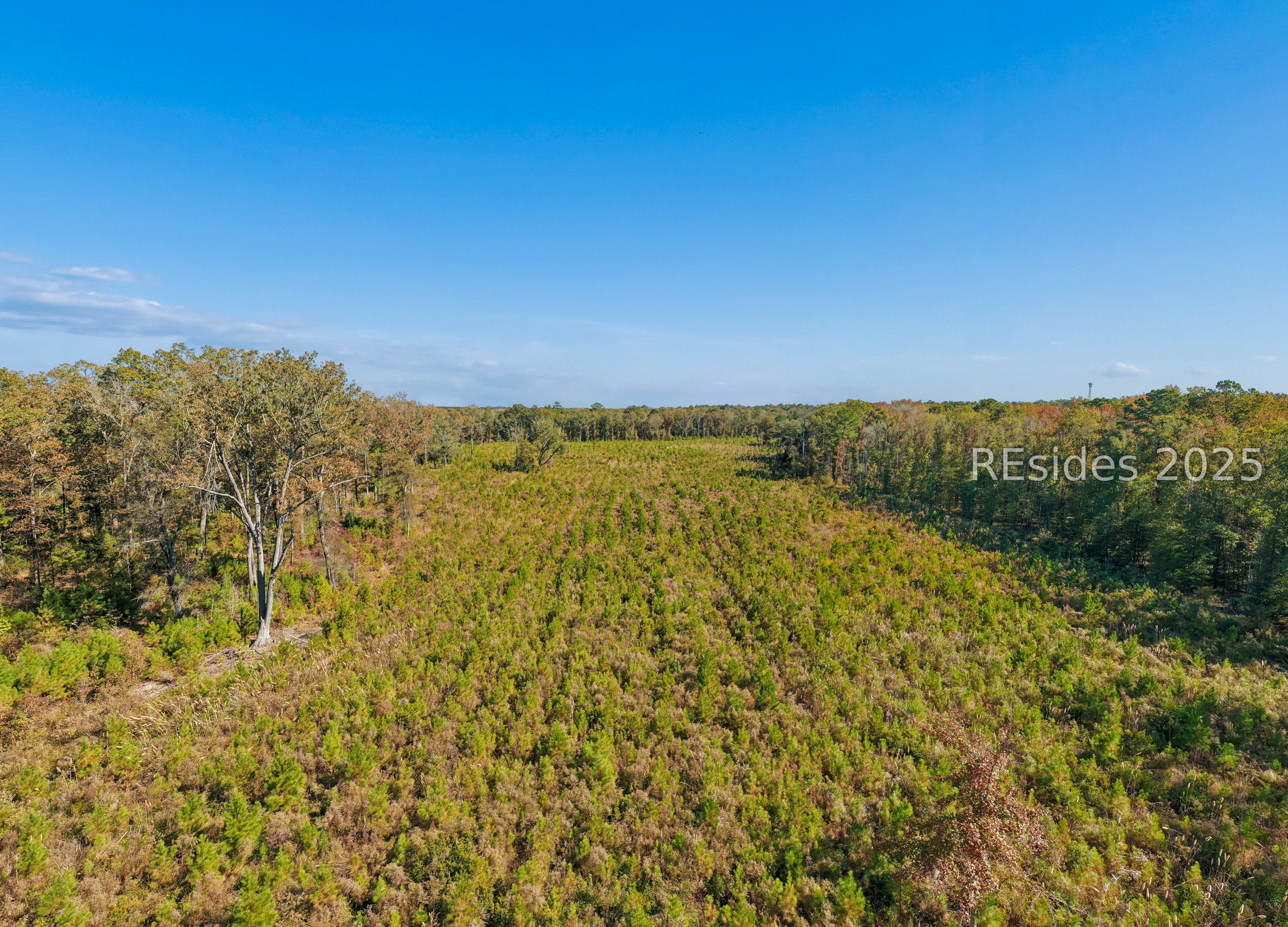 0 Morgandollar Road Ridgeland, SC 29936 - Photo 26 of 38