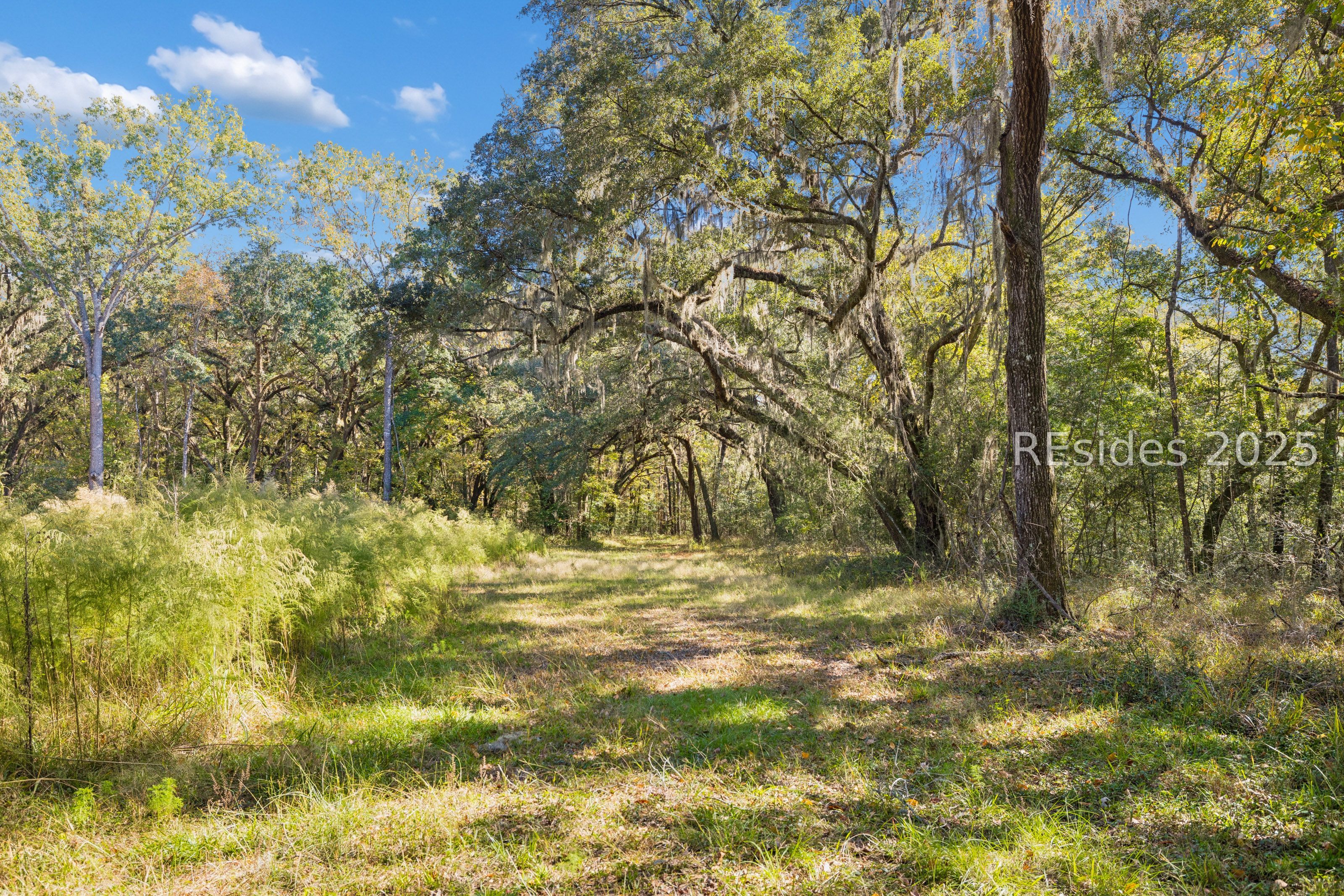 0 Morgandollar Road Ridgeland, SC 29936 - Photo 30 of 38