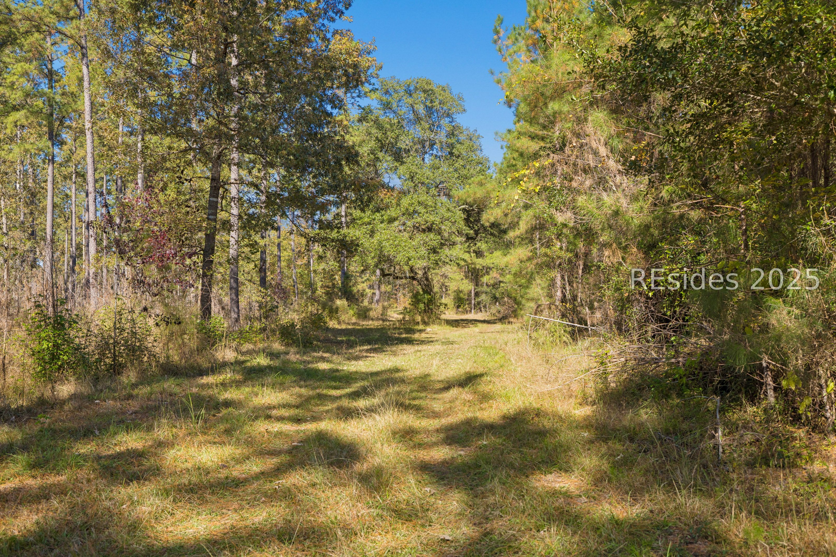0 Morgandollar Road Ridgeland, SC 29936 - Photo 31 of 38