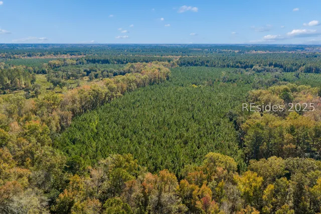 $5,168,000 | 0 Morgandollar Road, Ridgeland, SC 29936