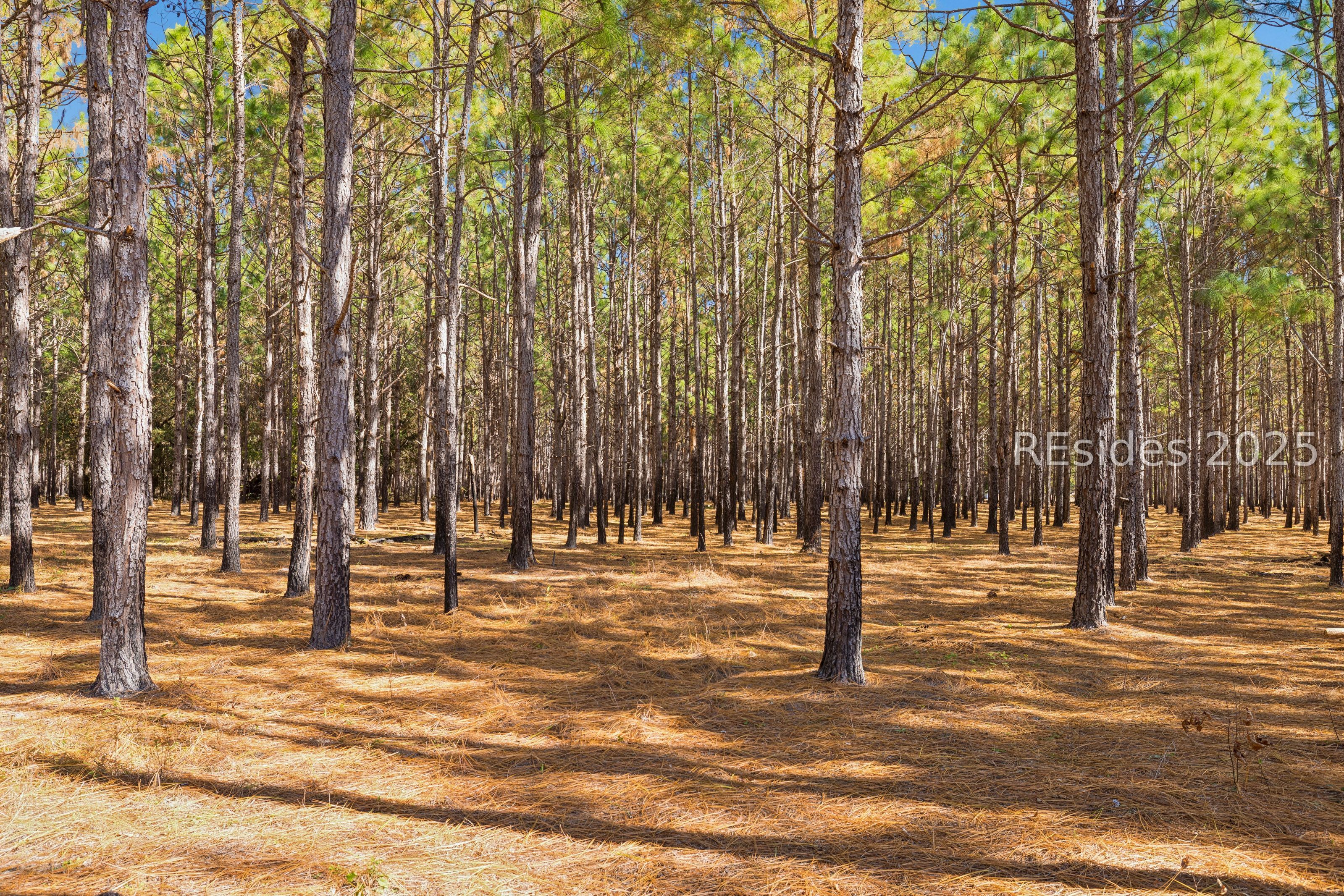 0 Morgandollar Road Ridgeland, SC 29936 - Photo 36 of 38