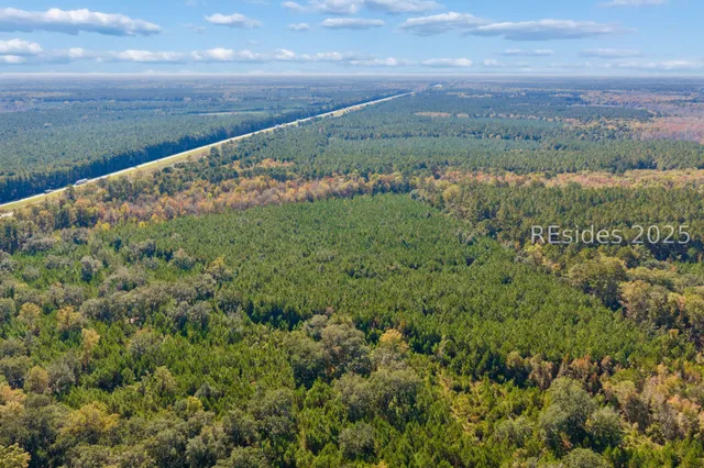 $5,168,000 | 0 Morgandollar Road, Ridgeland, SC 29936