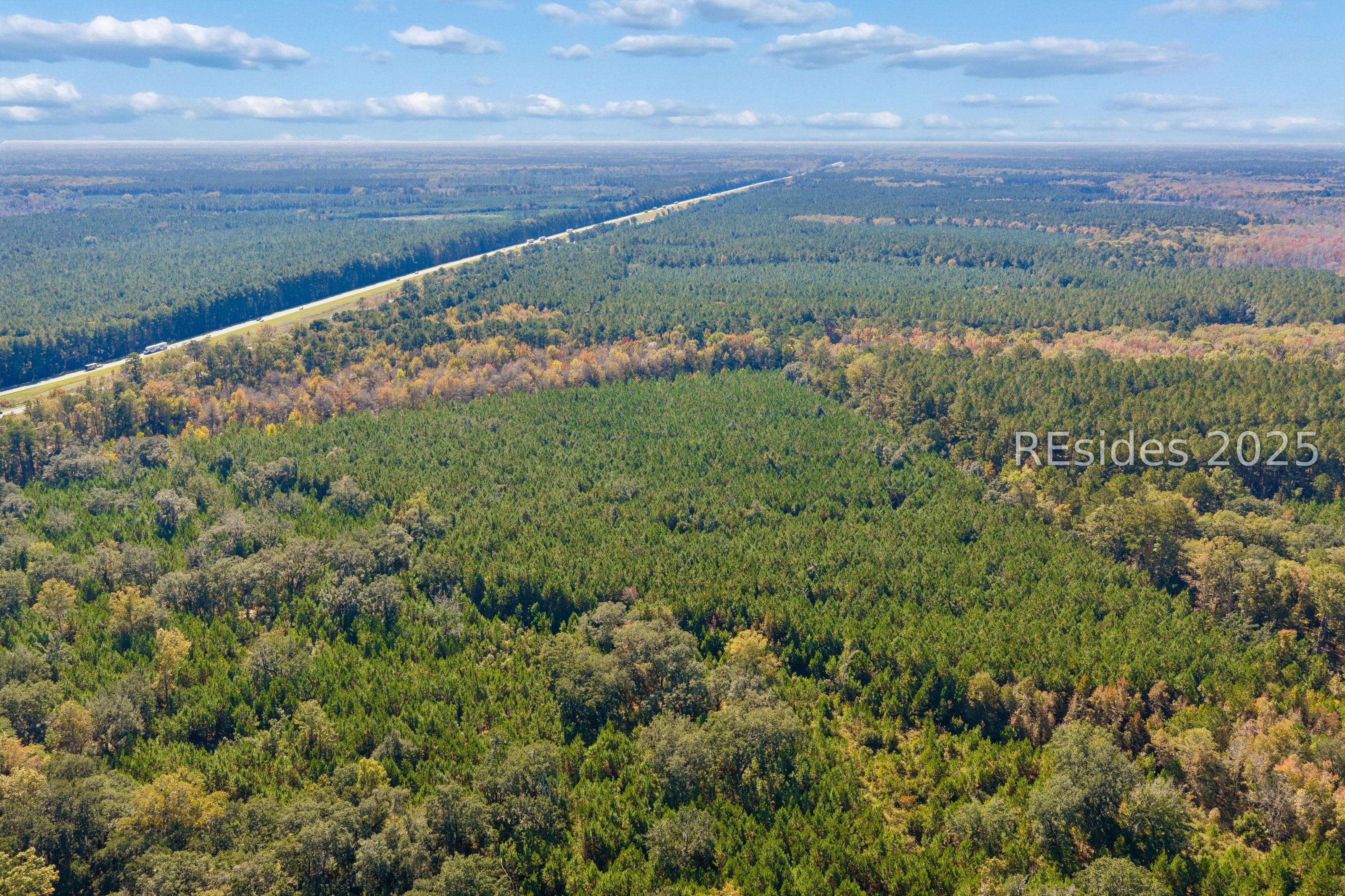 0 Morgandollar Road Ridgeland, SC 29936 - Photo 5 of 38
