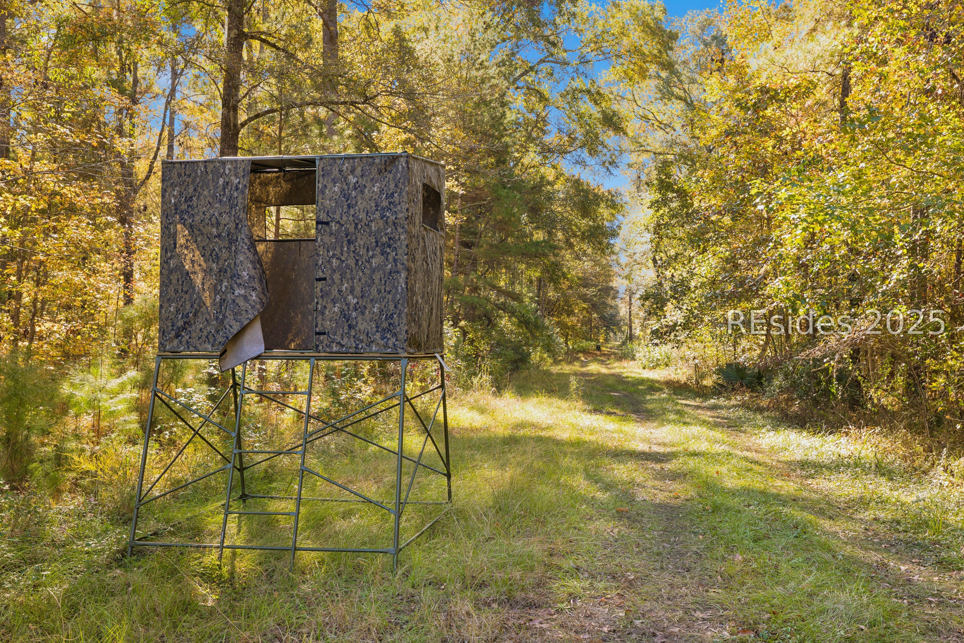 0 Morgandollar Road Ridgeland, SC 29936 - Photo 7 of 38