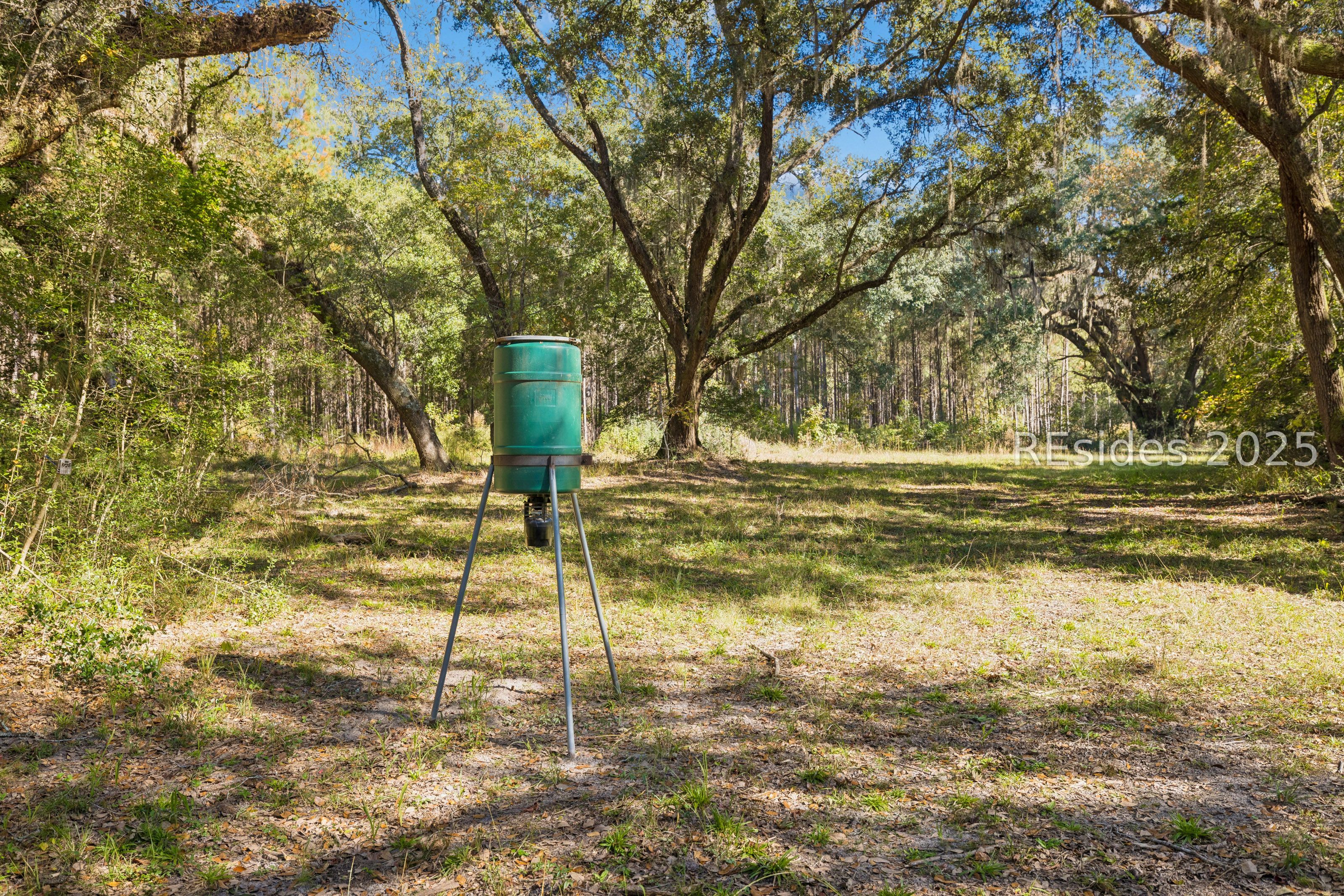 0 Morgandollar Road Ridgeland, SC 29936 - Photo 9 of 38