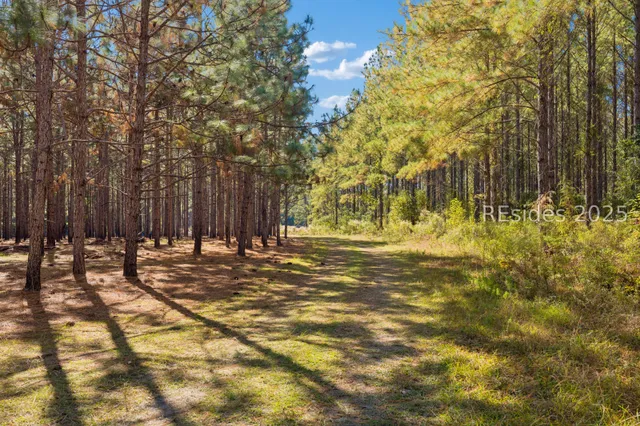 $5,168,000 | 0 Morgandollar Road, Ridgeland, SC 29936