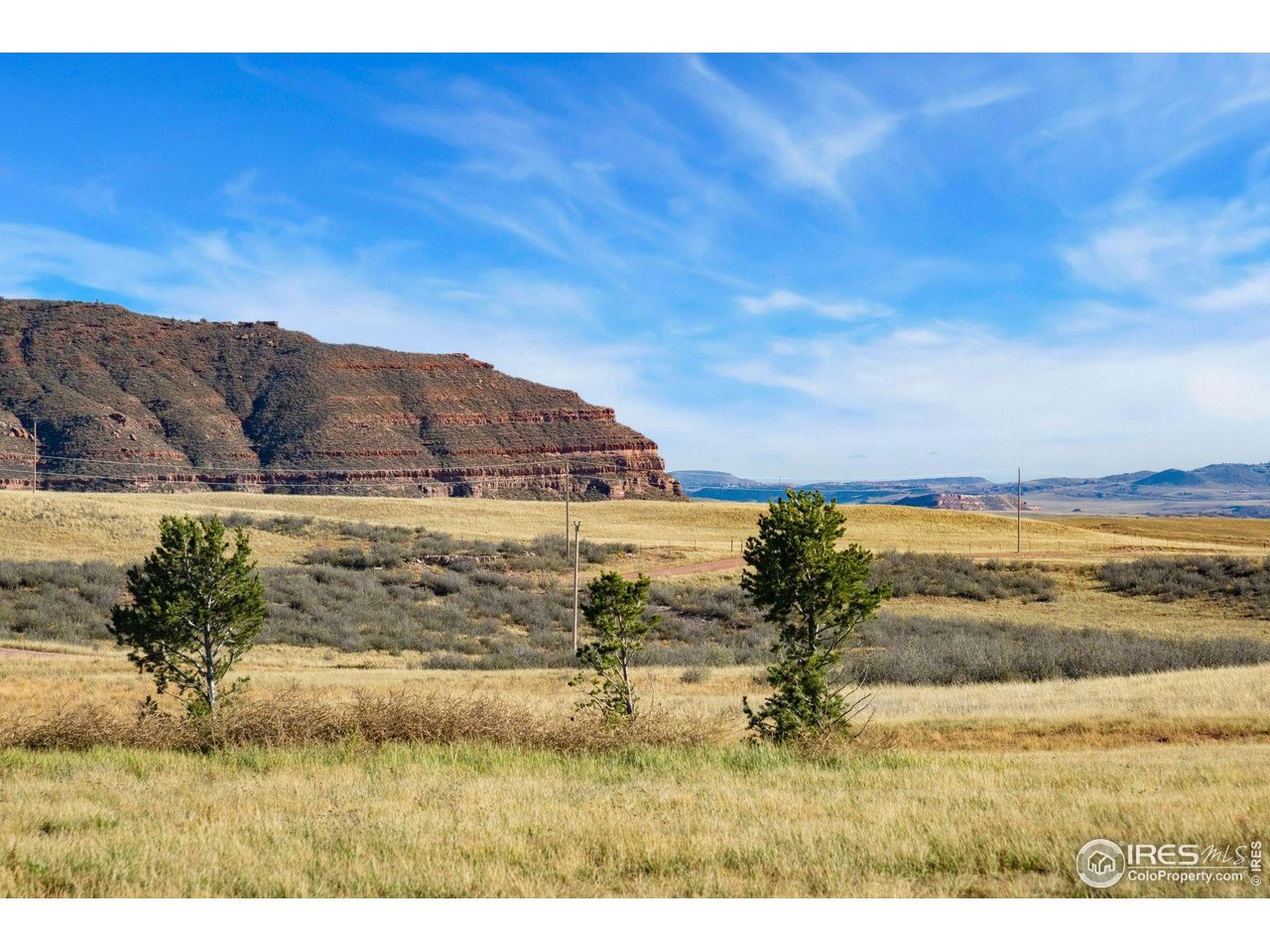 202 Roundtree Road Livermore, CO 80536 - Photo 42 of 50 Space to roam, adventure, and play